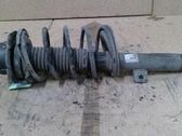 Amortiguador delantero con muelle espiral