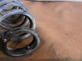 Feder hinten