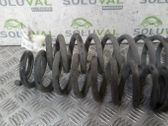 Rear coil spring