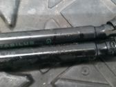 Tailgate/trunk strut/damper