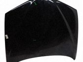 Motorhaube