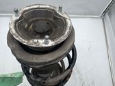 Front shock absorber with coil spring