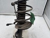 Amortiguador delantero con muelle espiral