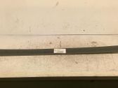 Front door trim (molding)