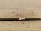 Rear door trim (molding)