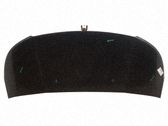 Motorhaube