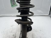 Front shock absorber with coil spring