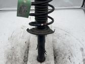 Front shock absorber with coil spring