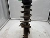 Front shock absorber with coil spring