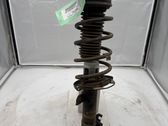 Front shock absorber with coil spring