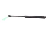 Tailgate/trunk strut/damper