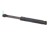 Tailgate/trunk strut/damper