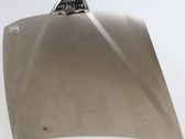 Motorhaube