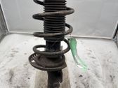 Front shock absorber with coil spring