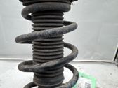 Front shock absorber with coil spring