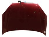 Engine bonnet/hood