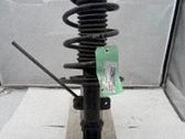 Amortiguador delantero con muelle espiral