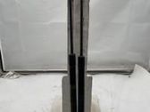 Tailgate/trunk strut/damper