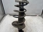 Amortiguador delantero con muelle espiral