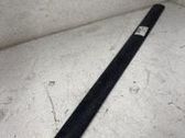 Moulure de porte avant