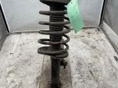 Front shock absorber with coil spring