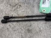 Tailgate/trunk strut/damper