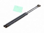 Tailgate/trunk strut/damper