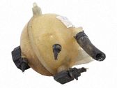 Coolant expansion tank/reservoir cap