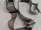 Rear seatbelt