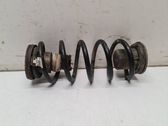 Rear coil spring