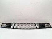 Front bumper lower grill
