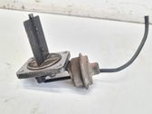 Vacuum valve