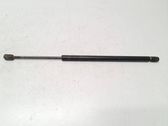 Tailgate/trunk strut/damper