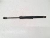 Tailgate/trunk strut/damper