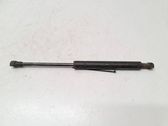 Tailgate/trunk strut/damper