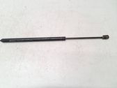 Tailgate/trunk strut/damper