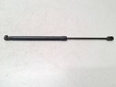 Tailgate/trunk strut/damper