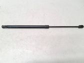 Tailgate/trunk strut/damper