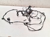 Front door wiring loom