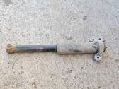 Stoßdämpfer hinten