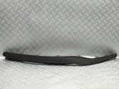 Front bumper lip