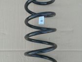 Front coil spring