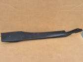 Front door trim (molding)