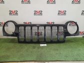 Front bumper upper radiator grill