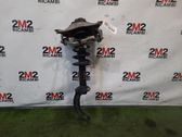 Front shock absorber with coil spring