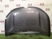 Motorhaube
