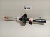 Front shock absorber with coil spring