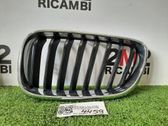 Front bumper upper radiator grill