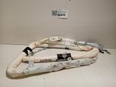 Roof airbag