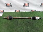 Rear driveshaft